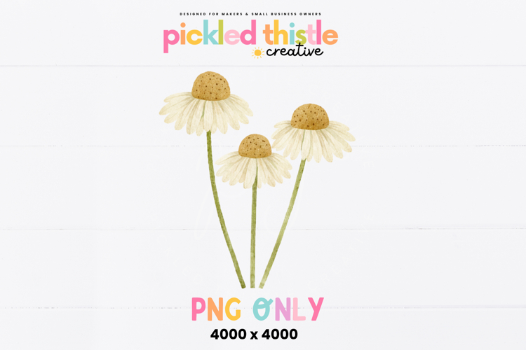 Wildflower Png Image 2