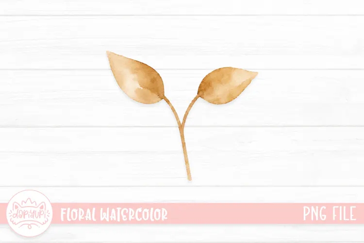 Botanical Watercolor Illustration, Floral Watercolor Design