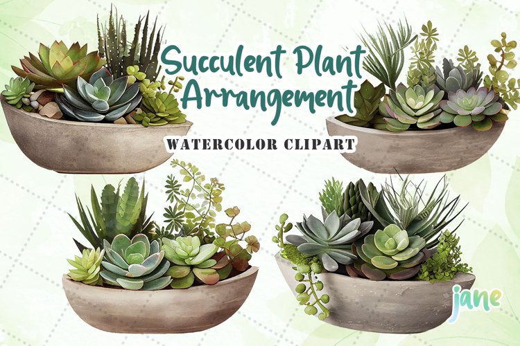 Watercolor Succulent Clipart Image 22