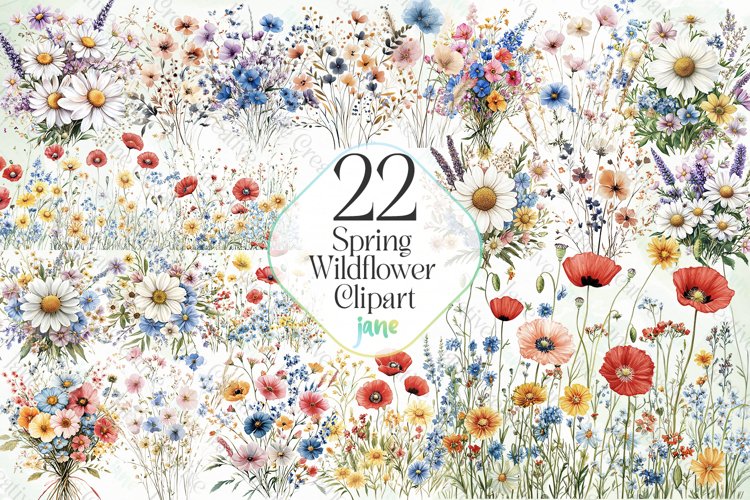 Spring Wildflower Clipart Sublimation