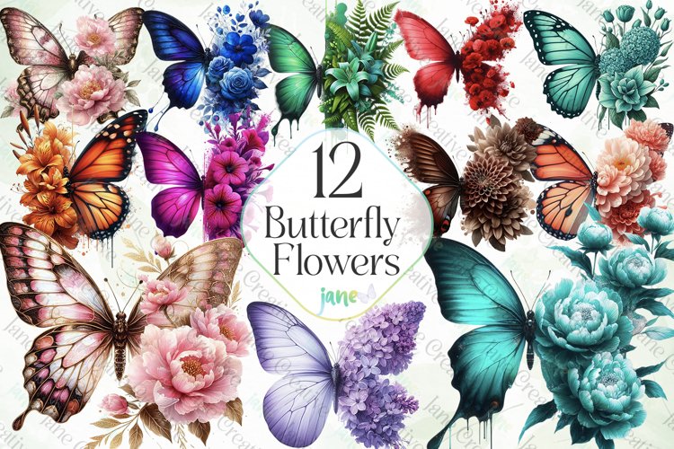 Butterfly Clipart Image 17