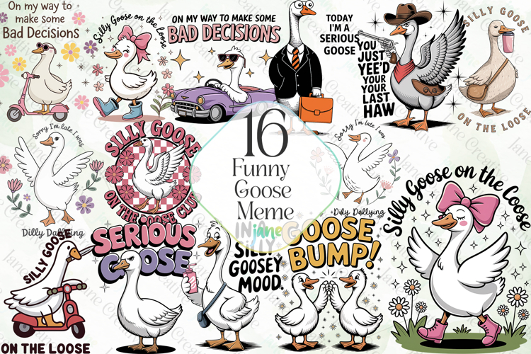 Goose Illustration Image 16