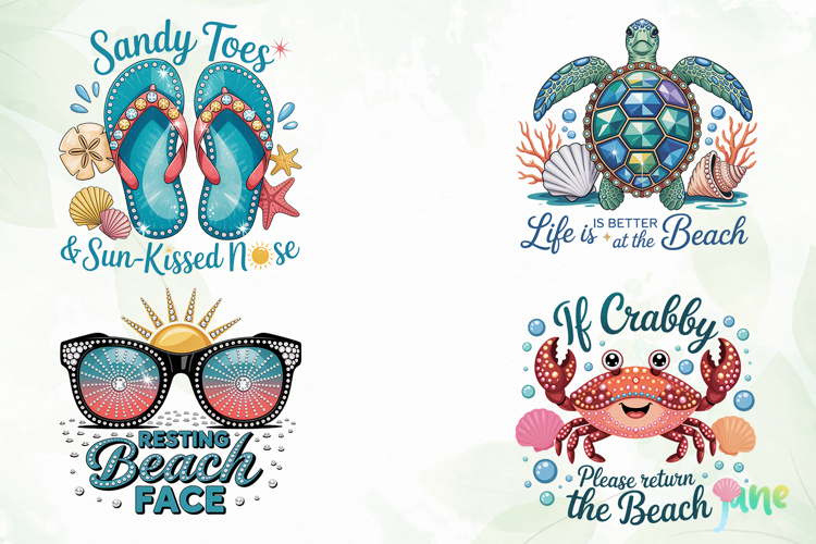 Beach Vibes & Ocean Life