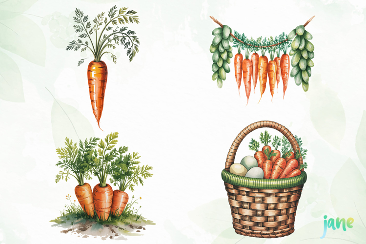 Spring Carrot Png Sublimation