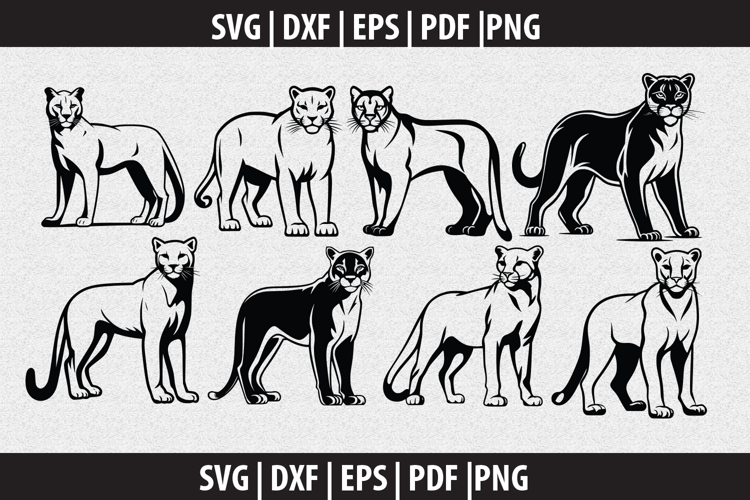 Fish Silhouette Image 12