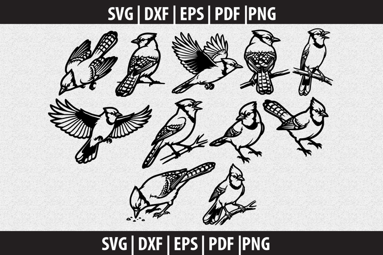 Blue jay Bird SVG Silhouette design