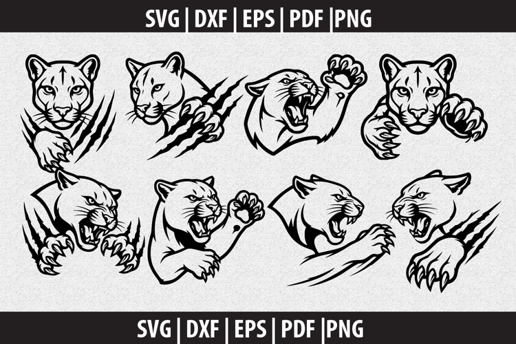 Fish Silhouette Image 14