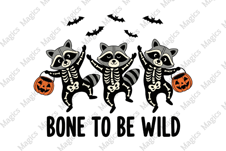 Spider PNG Image 22