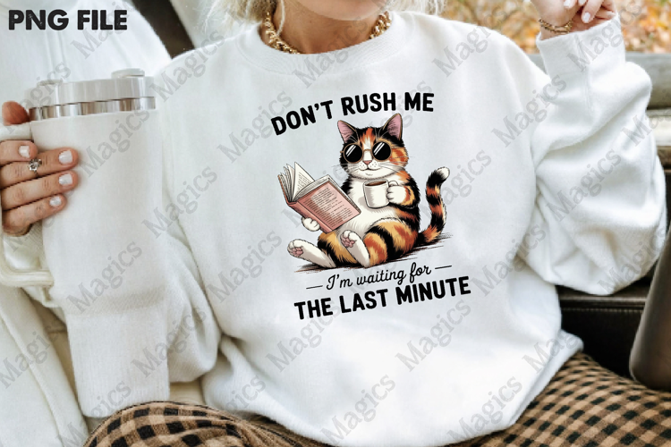 Funny Cat Sarcastic Sassy Don't Rush Me