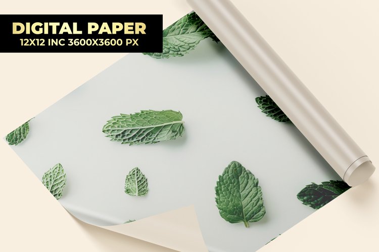 Mint Clipart Image 24