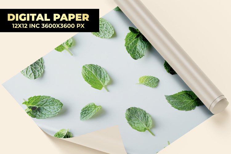 Mint Clipart
