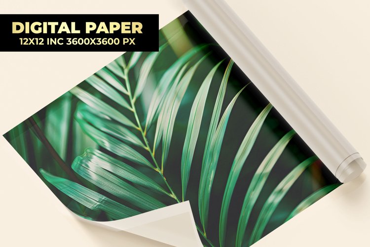 Palm Leaves Digital Paper example image 1