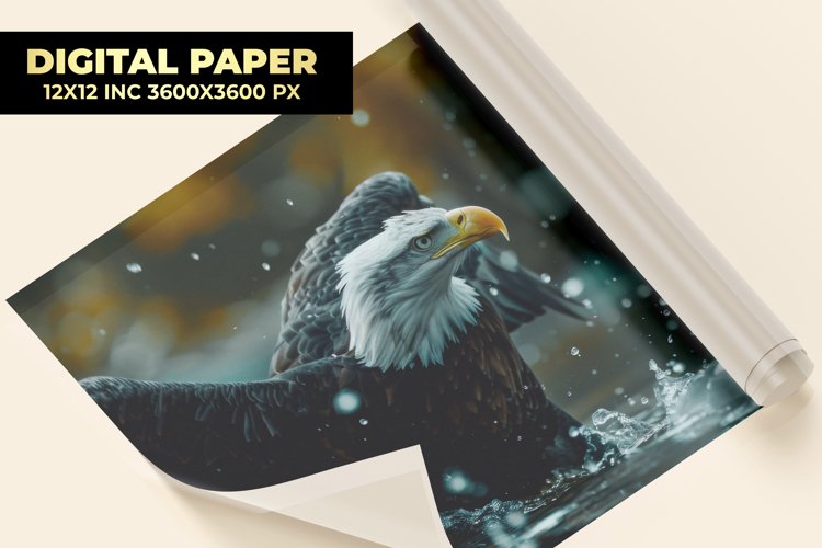 Eagle Clipart Image 14