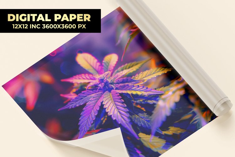 Colorful Cannabis Digital Paper
