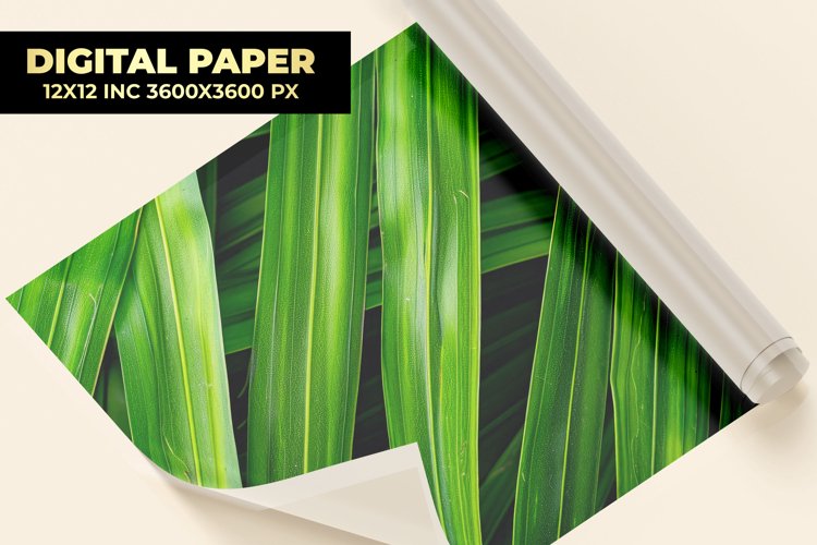 Palm Leaves Digital Paper example image 1