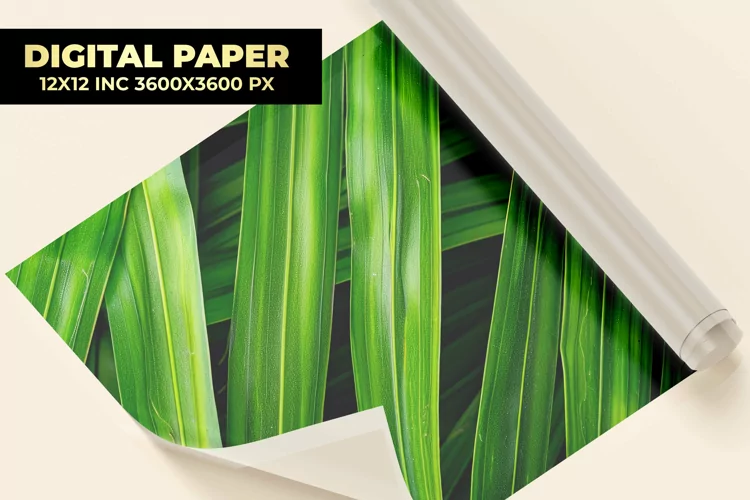 Palm Leaves Digital Paper