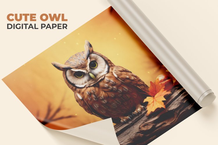 Owl Clipart Image 22