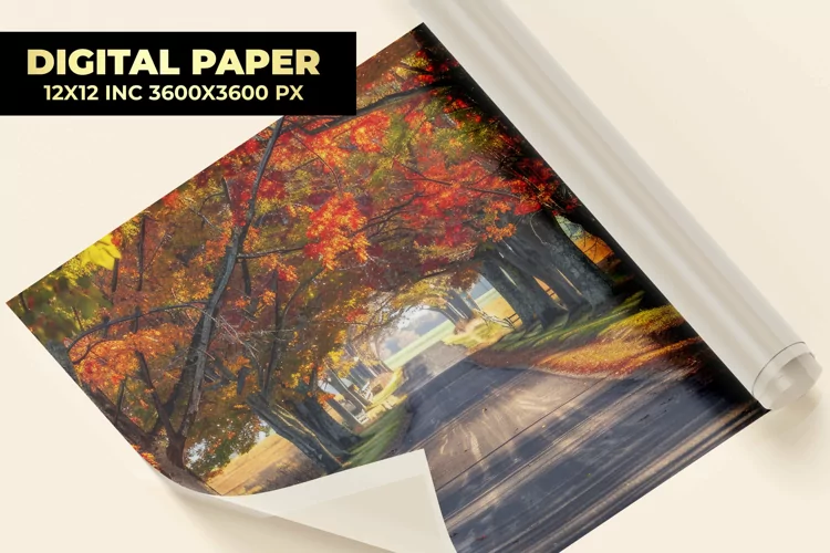 Autumn Road Digital Paper