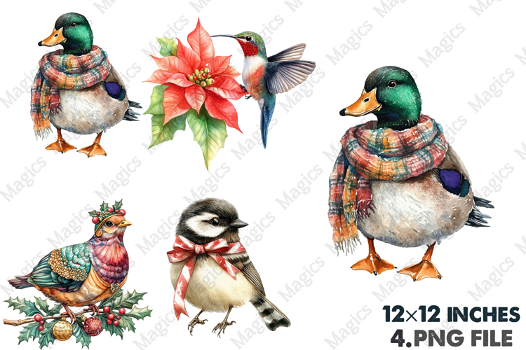 Robin Clipart Image 8