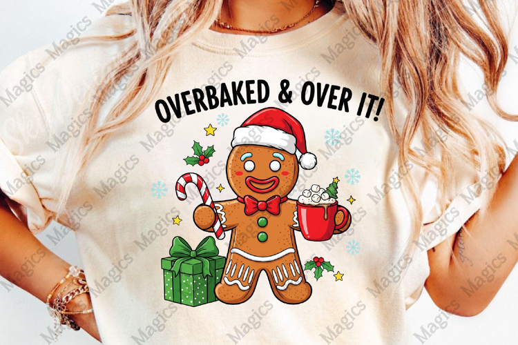 Christmas Png Image 24