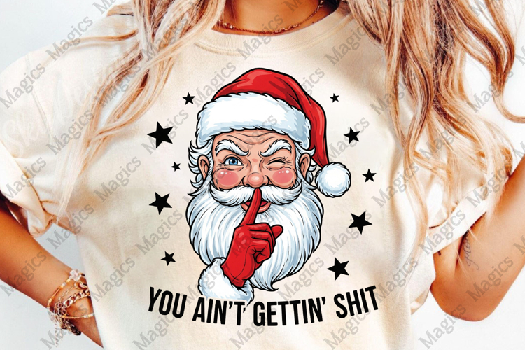 Christmas Png Image 13