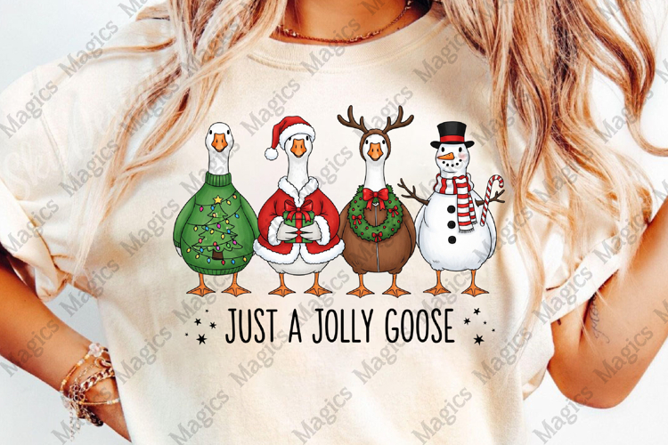 Christmas Png Image 20