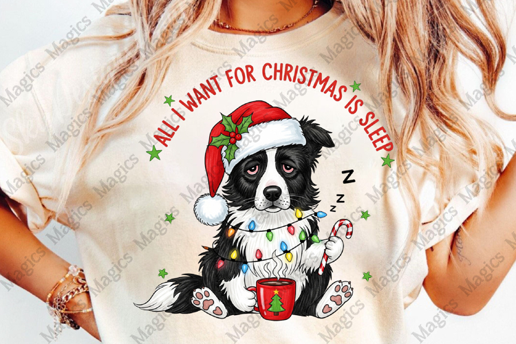 Christmas Png Image 21