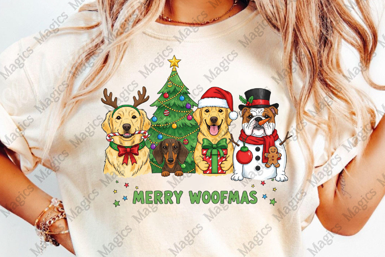 Christmas Png Image 21