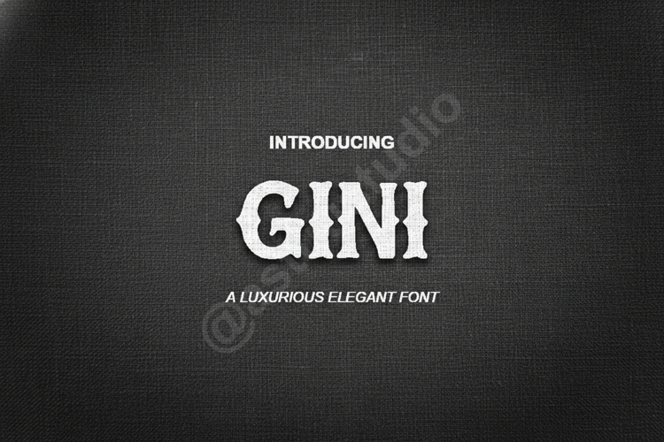 Gini - Elegant and Sophisticated Modern Serif example image 1
