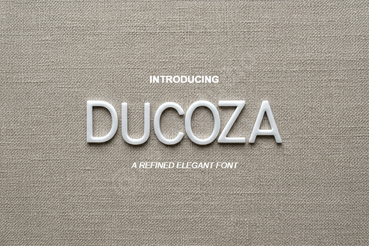 Display Typeface Image 22