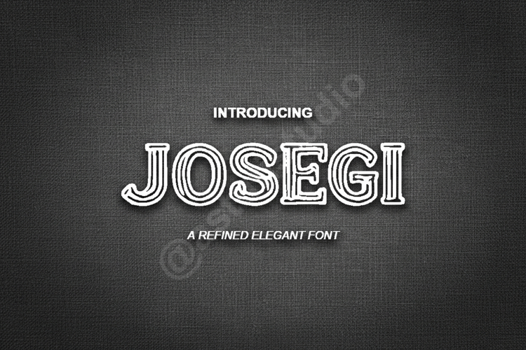 Josegi - Modern Elegant Serif Typeface example image 1