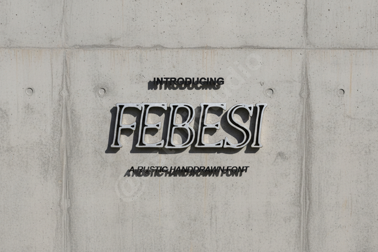 Febesi - Elegant Modern Serif Font