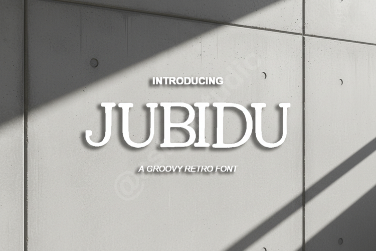 Branding Font Image 14