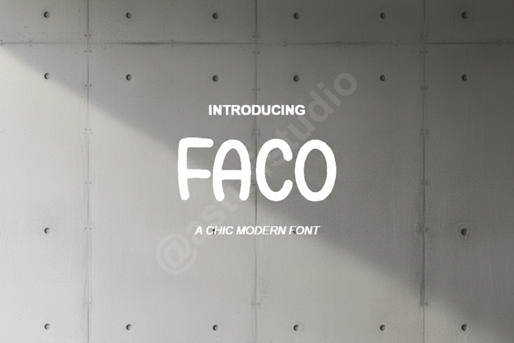 Modern Serif Font Image 13