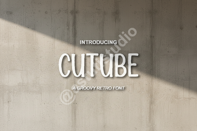 Modern Serif Font Image 21