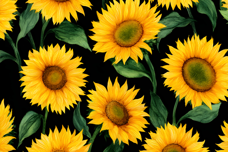 Sunflower Background Image 2