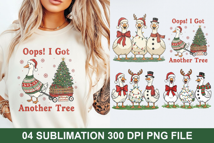 Christmas Png Image 23