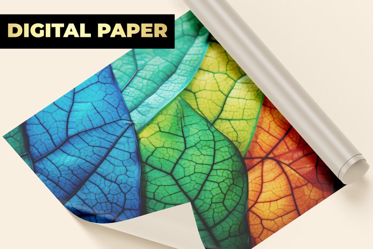 Colorful Background Image 7