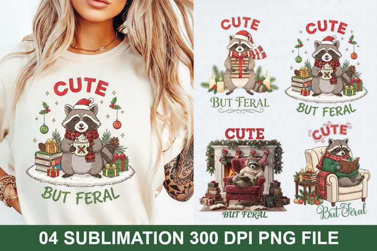 Christmas Png Image 24