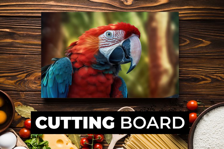 Parrot Clipart Image 11