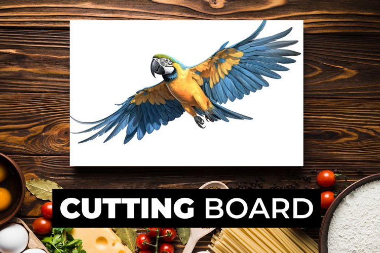 Parrot Clipart Image 21