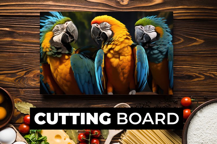 Parrot Clipart Image 12