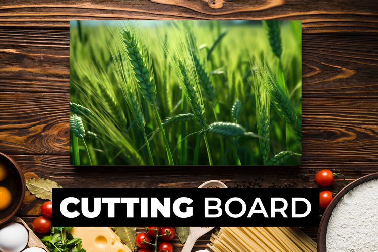 Wheat Clipart Image 16