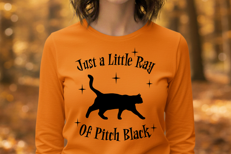 Just a Little Ray of Pitch Black Cat Funny Sarcastic PNG