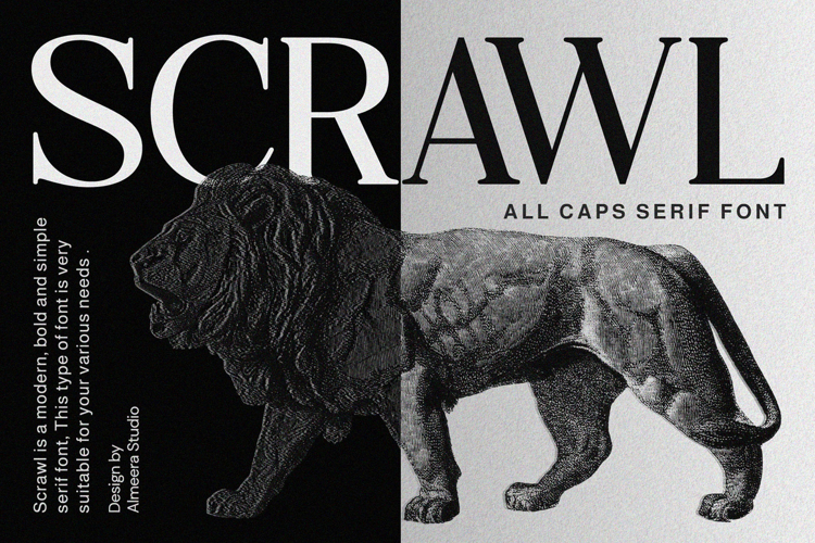 Modern Serif Font Image 6