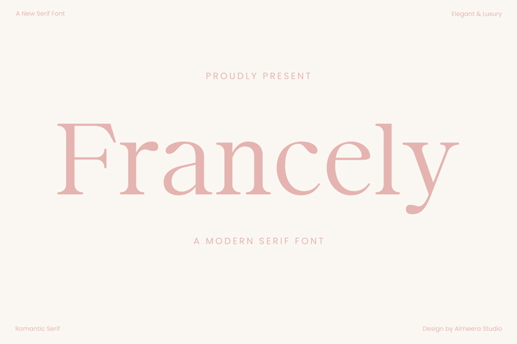 Modern Serif Font Image 13