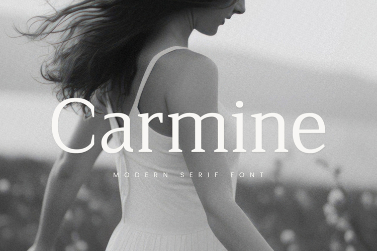 Modern Serif Font Image 20