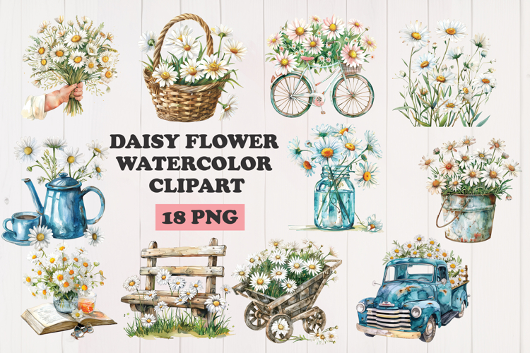 Daisy Illustration Image 15