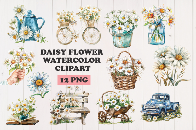 Daisy Illustration Image 16