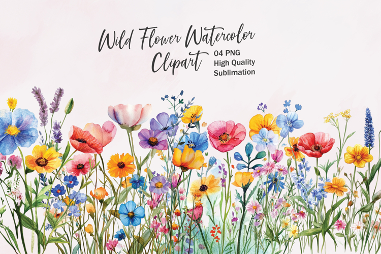 Wildflower Clusters - watercolor flowers borders PNG